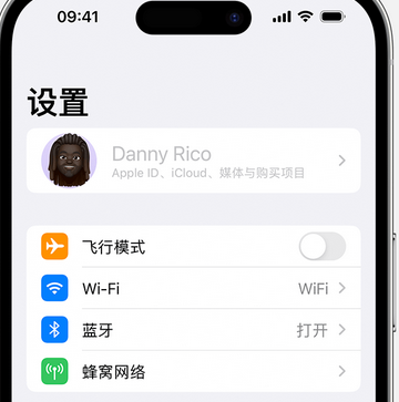 博厚镇appleID维修服务iPhone设置中Apple ID显示为灰色无法使用 