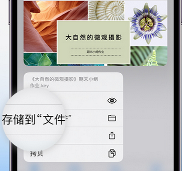 博厚镇apple维修中心分享iPhone文件应用中存储和找到下载文件