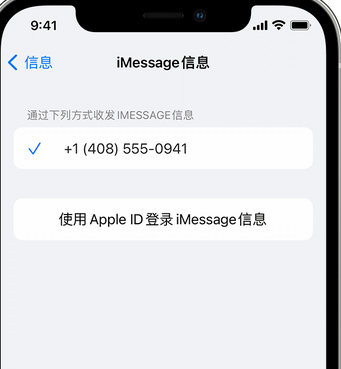 博厚镇apple维修iPhone上无法正常发送iMessage信息 