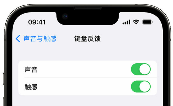 博厚镇苹果手机维修分享iPhone 14触感键盘使用方法 