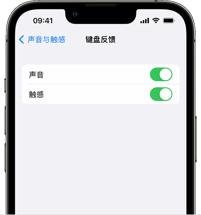 博厚镇苹果14维修店分享如何在 iPhone 14 机型中使用触感键盘 