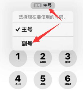 博厚镇苹果14维修店分享iPhone 14 Pro Max使用副卡打电话的方法 