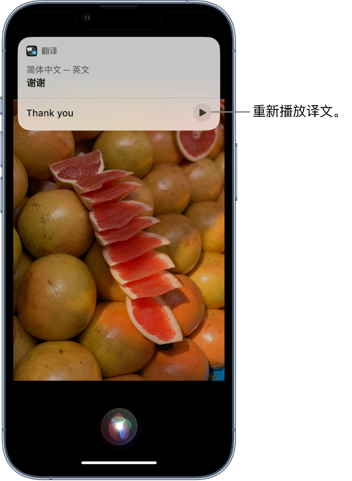 博厚镇苹果14维修分享 iPhone 14 机型中使用 Siri：了解 Siri 能帮你做什么 