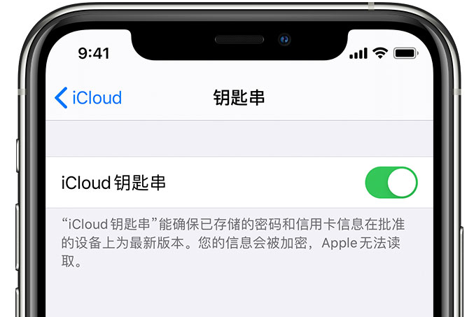 博厚镇苹果手机维修分享在 iPhone 上开启 iCloud 钥匙串之后会储存哪些信息 