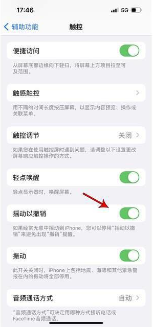 博厚镇苹果手机维修分享iPhone手机如何设置摇一摇删除文字 